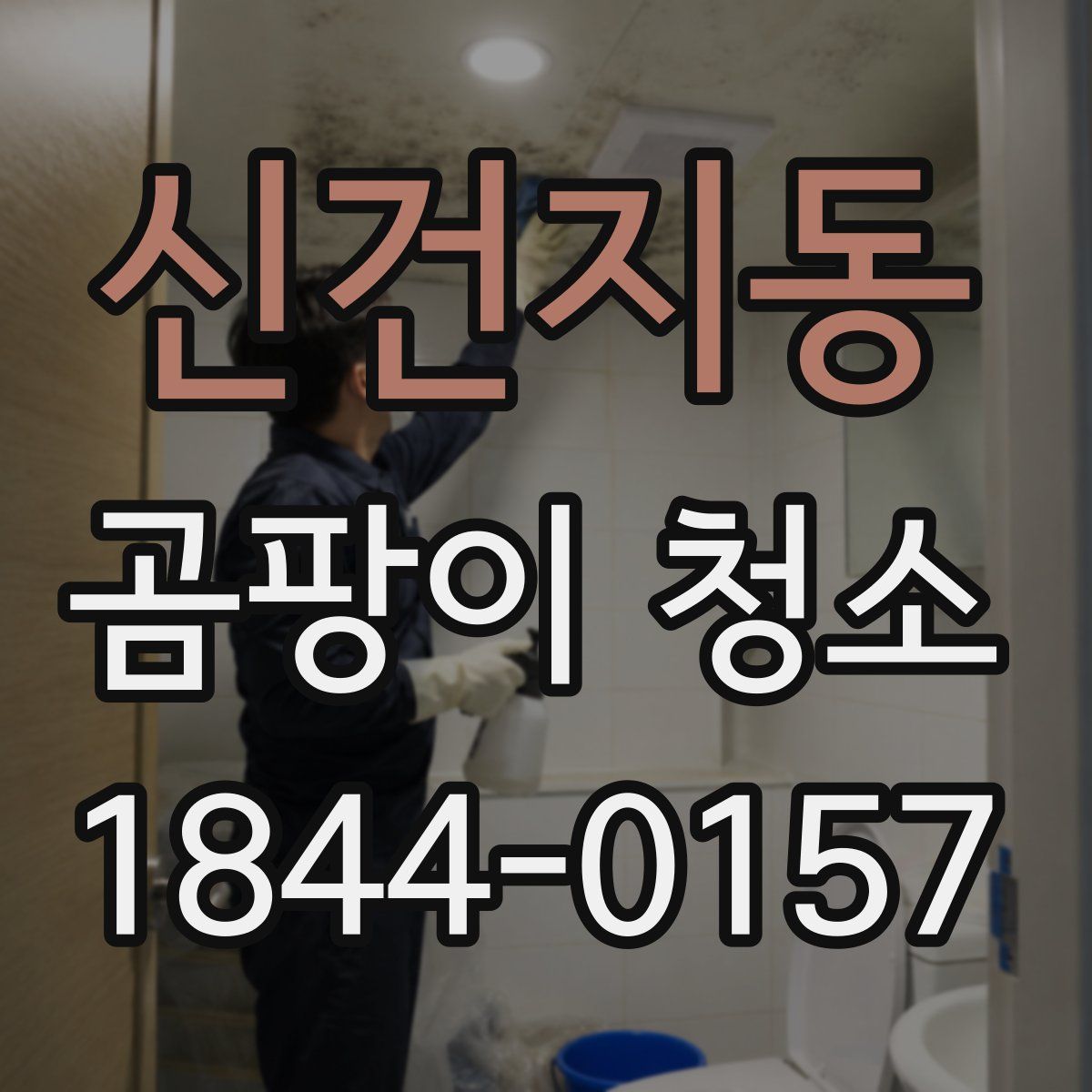 신건지동 곰팡이 청소