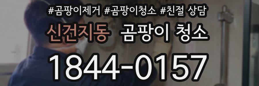 신건지동 곰팡이 청소