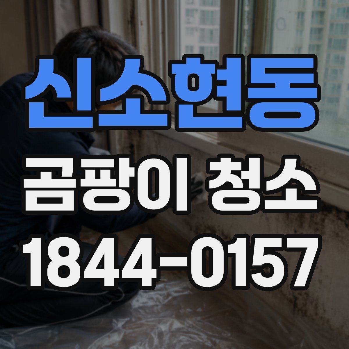 신소현동 곰팡이 청소 후 재발을 줄이는 관리법