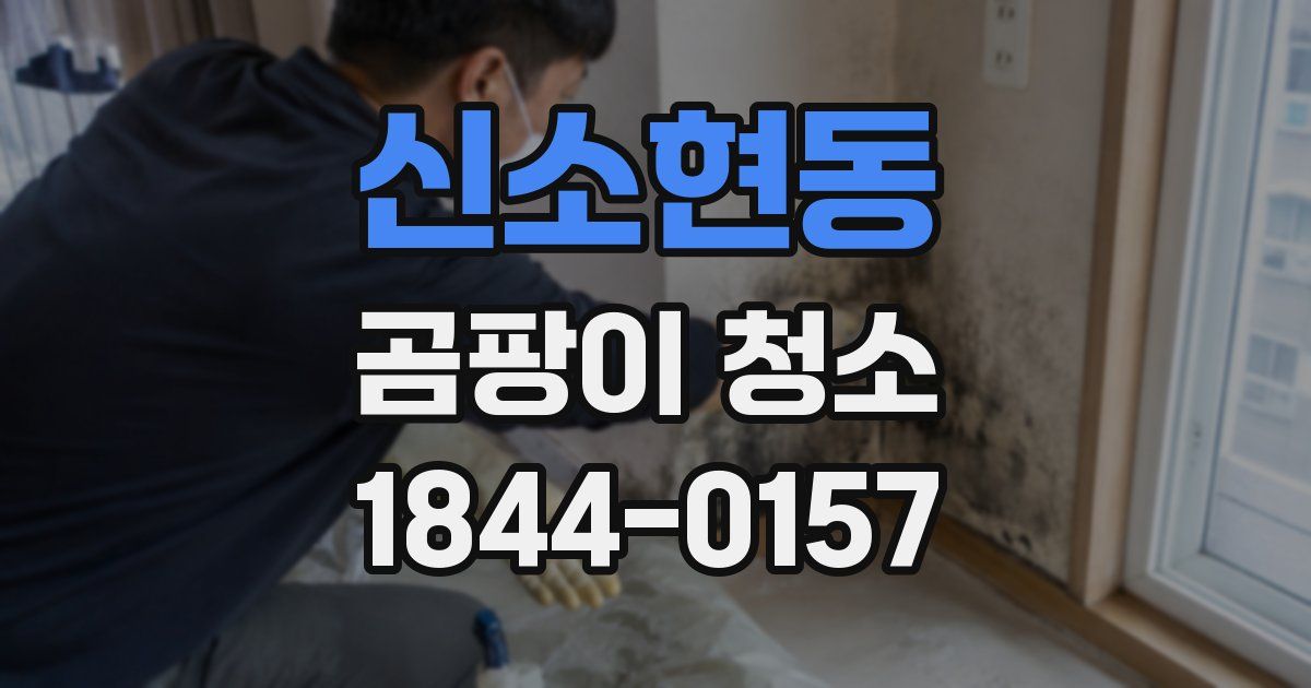 신소현동 곰팡이 청소