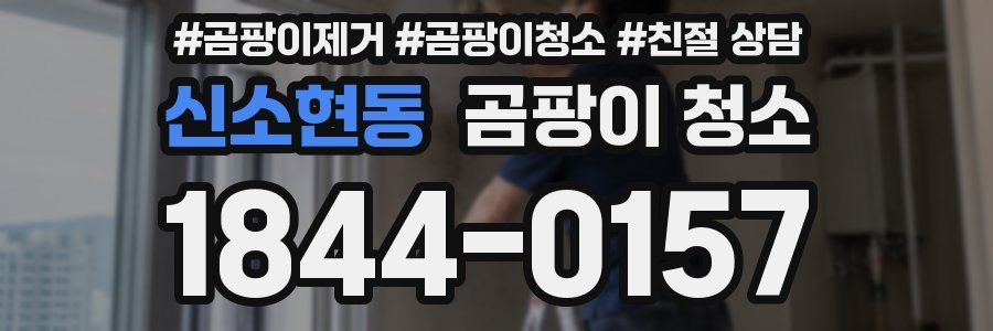 신소현동 곰팡이 청소