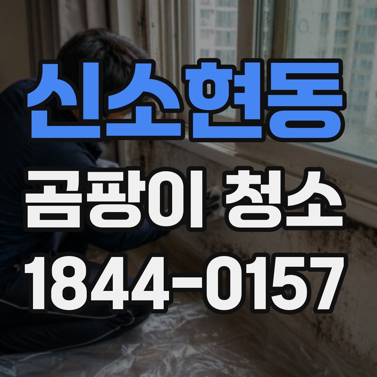 신소현동 곰팡이 청소