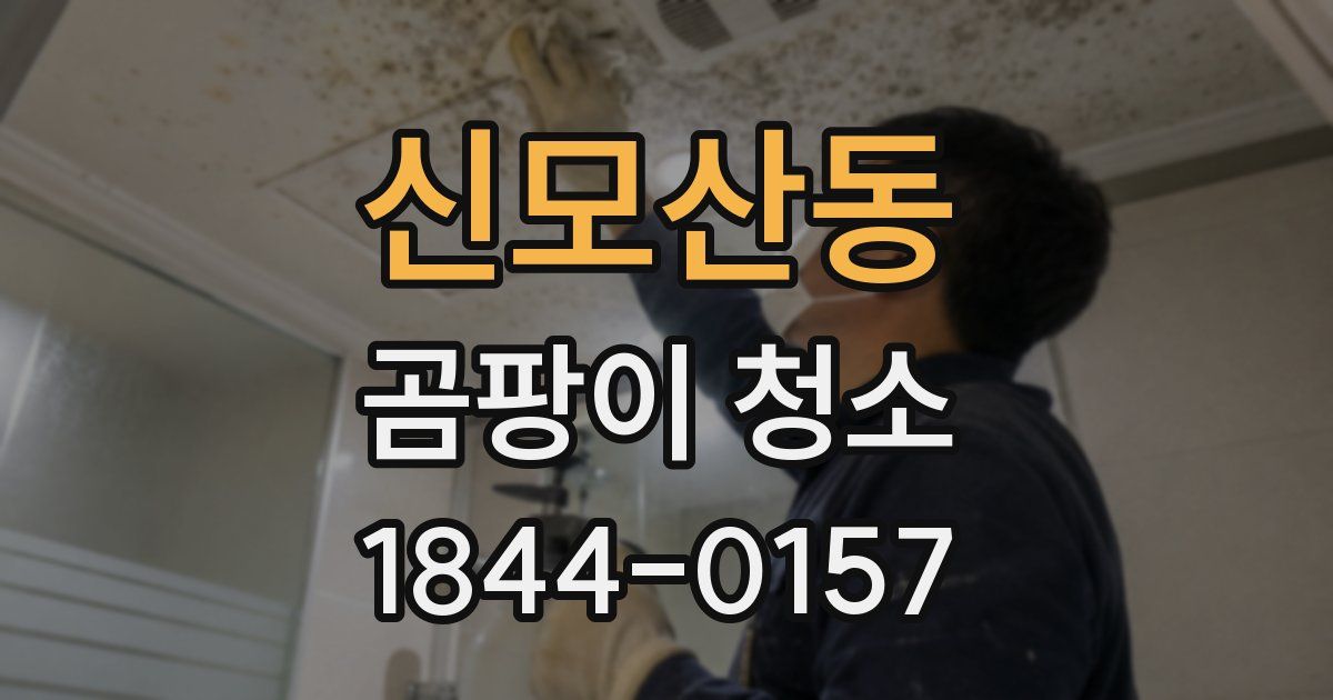 신모산동 곰팡이 청소