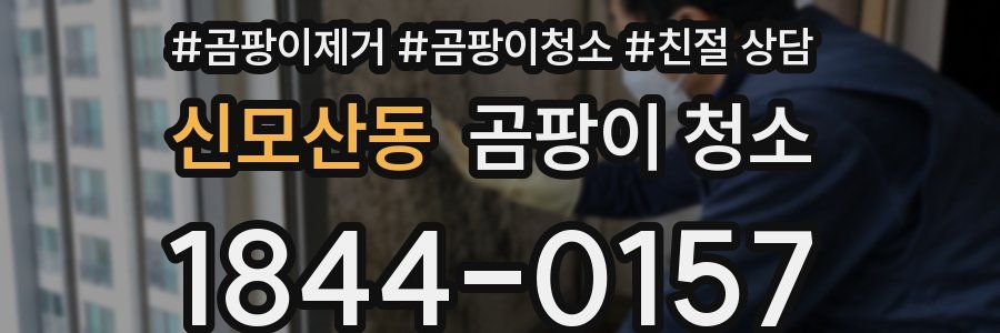 신모산동 곰팡이 청소