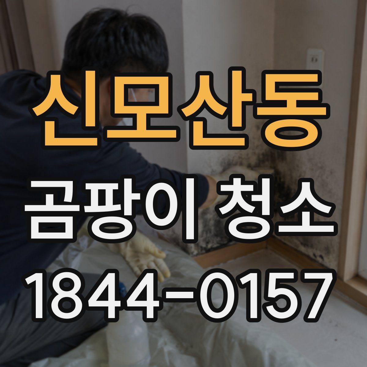 신모산동 곰팡이 청소