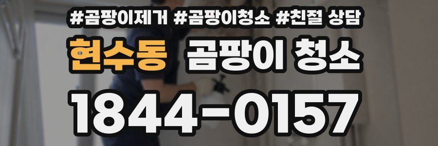 현수동 곰팡이 청소