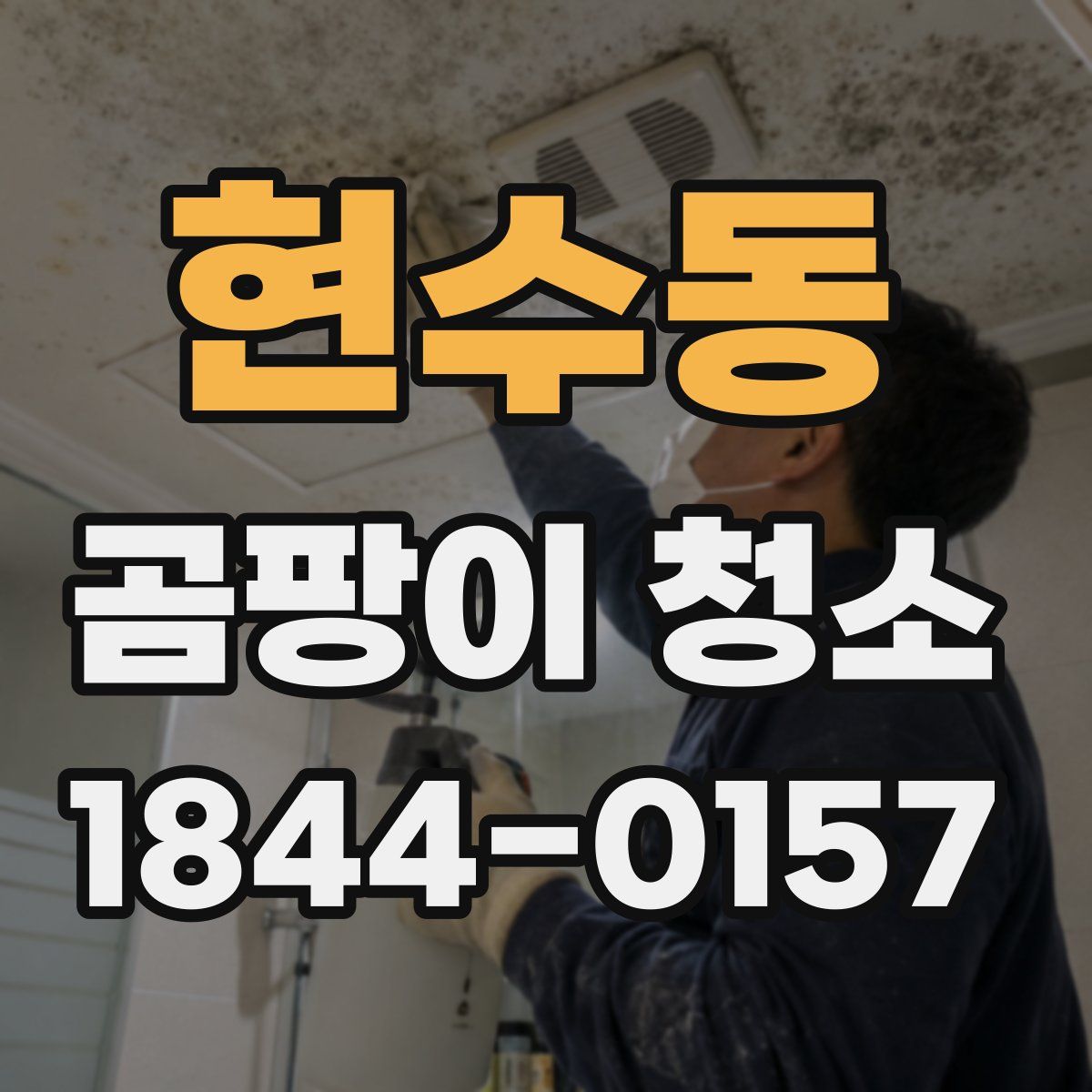 현수동 곰팡이 청소