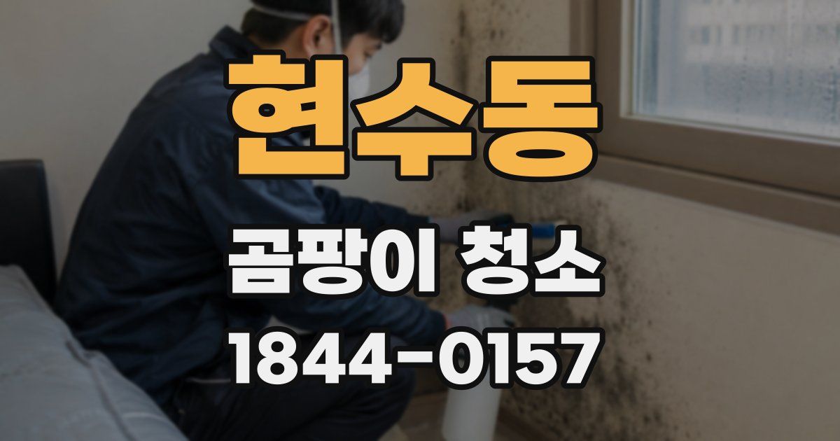 현수동 곰팡이 청소