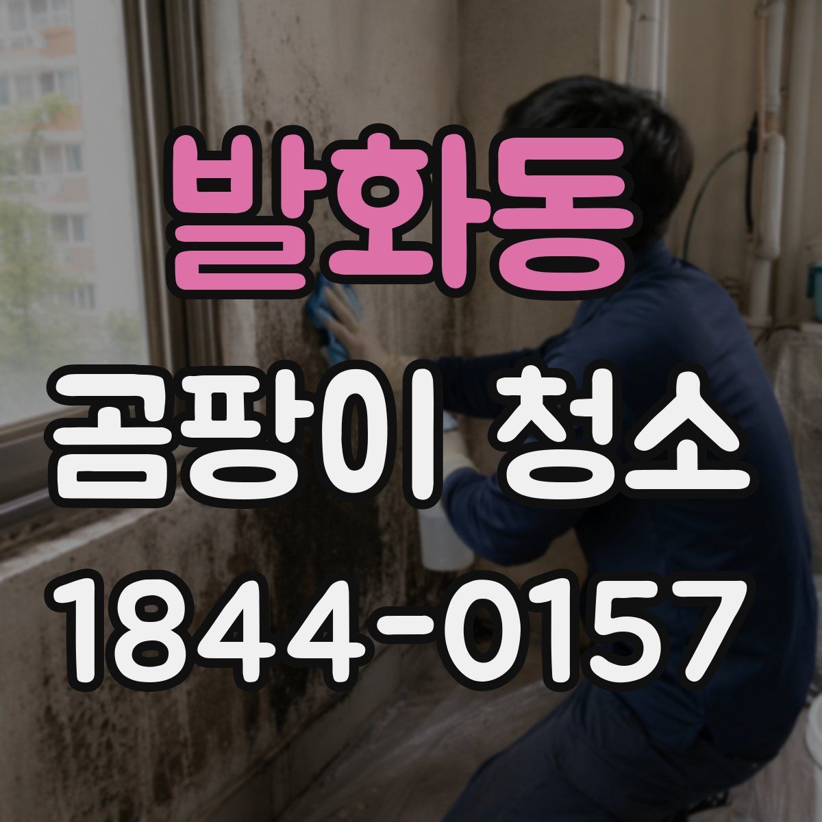 발화동 곰팡이 청소