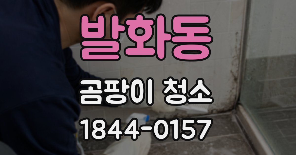 발화동 곰팡이 청소