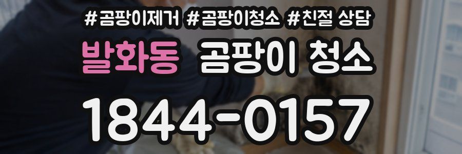 발화동 곰팡이 청소