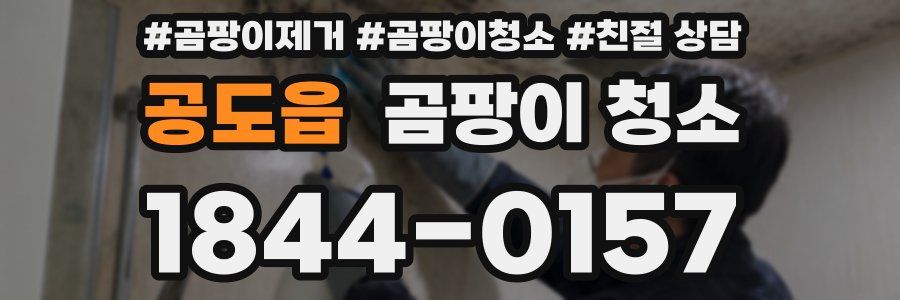 공도읍 곰팡이 청소