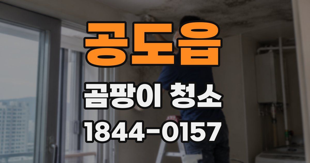 공도읍 곰팡이 청소