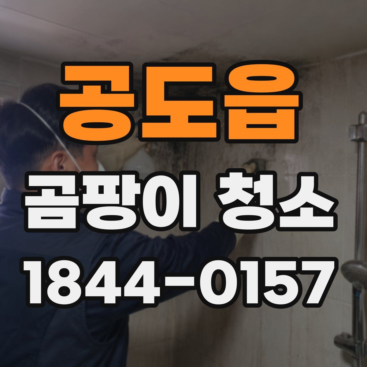 공도읍 곰팡이 청소