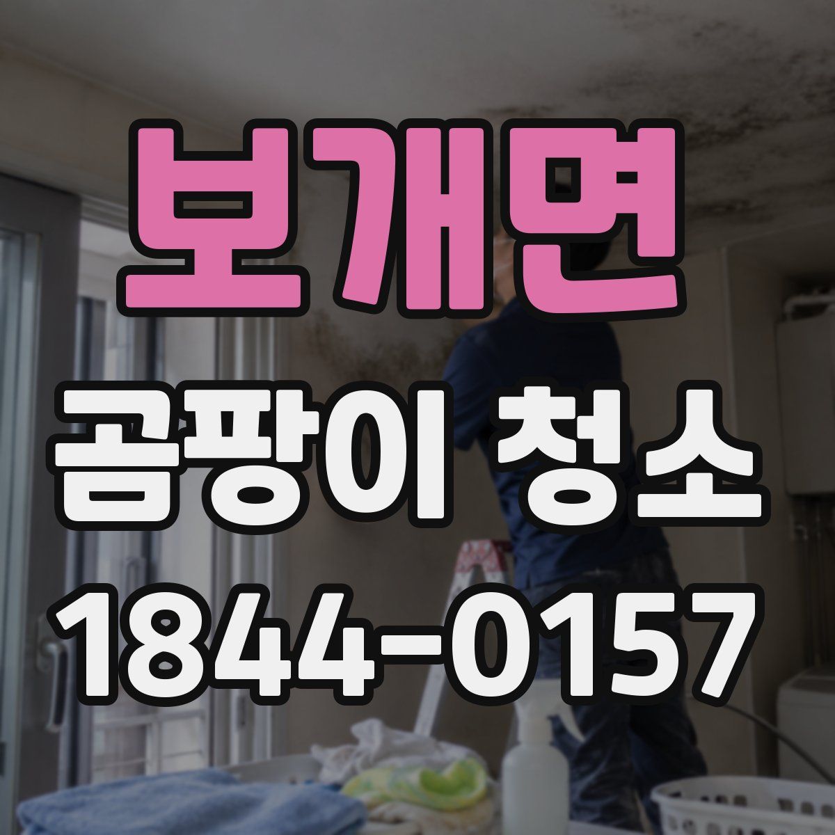 보개면 곰팡이 청소