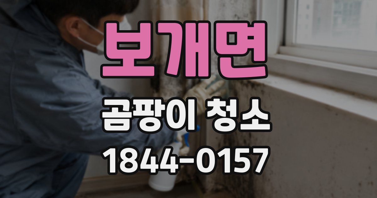 보개면 곰팡이 청소
