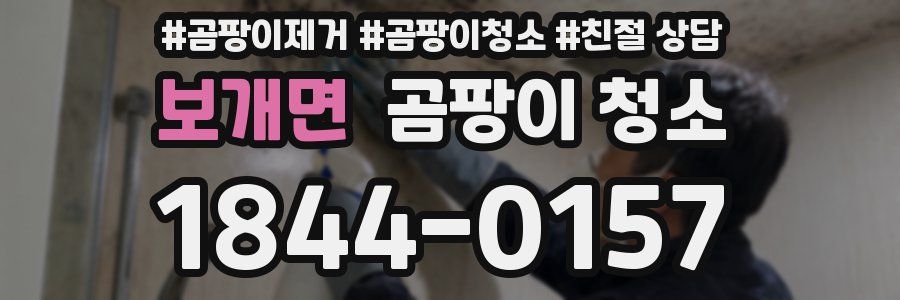 보개면 곰팡이 청소
