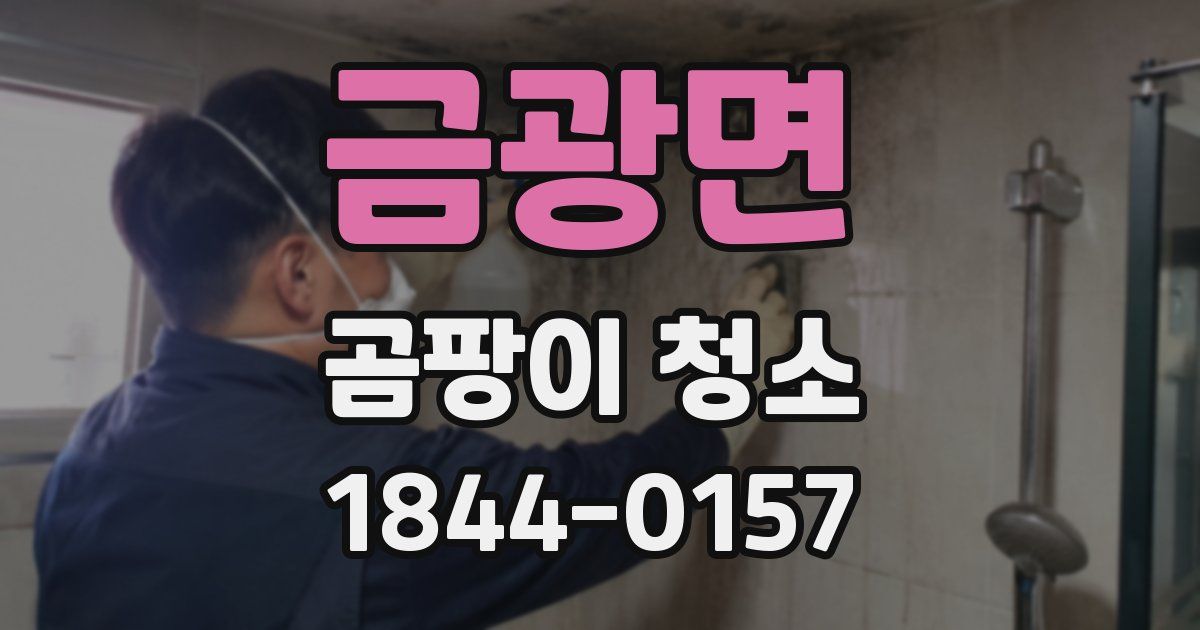 금광면 곰팡이 청소