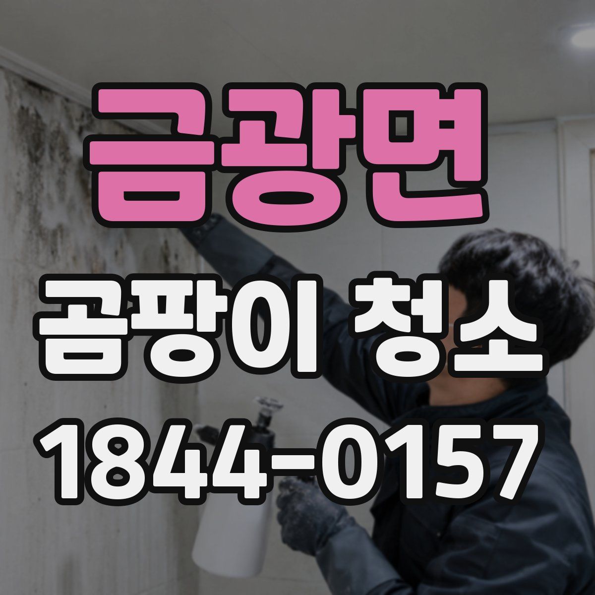 금광면 곰팡이 청소