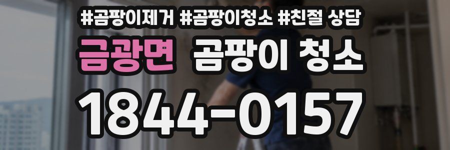 금광면 곰팡이 청소