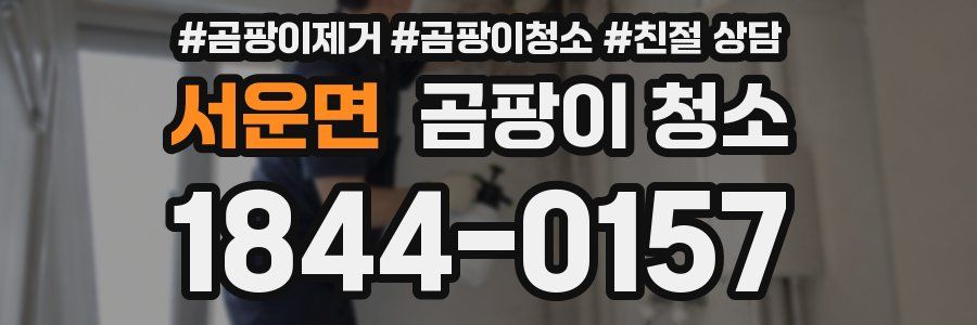 서운면 곰팡이 청소
