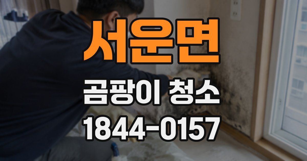 서운면 곰팡이 청소