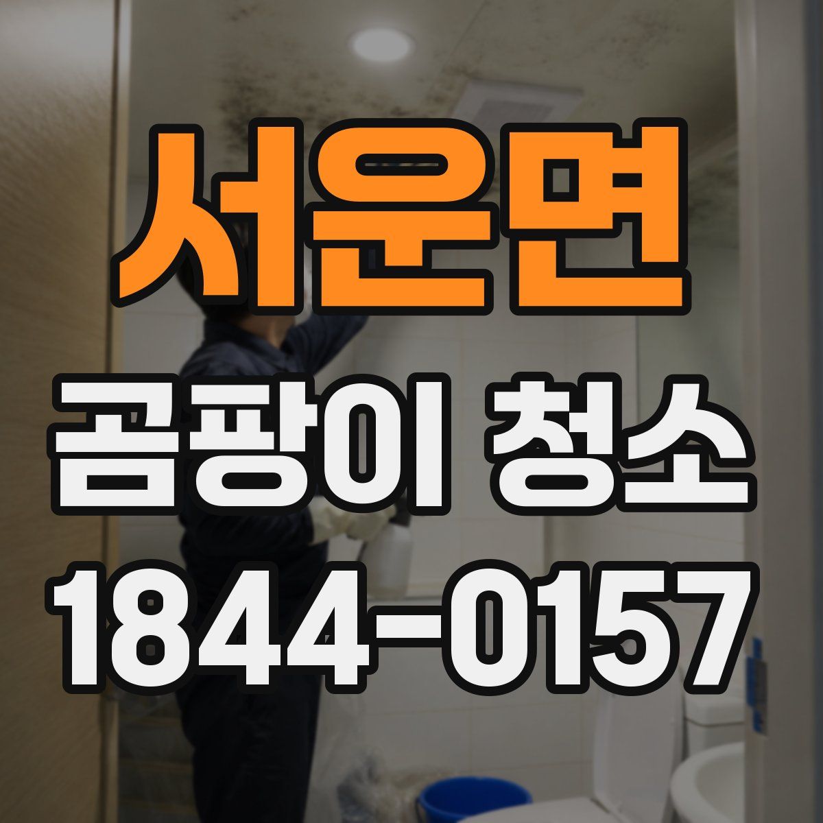 서운면 곰팡이 청소