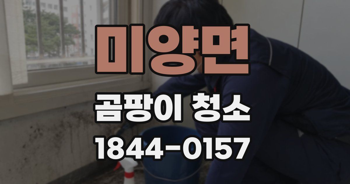 미양면 곰팡이 청소