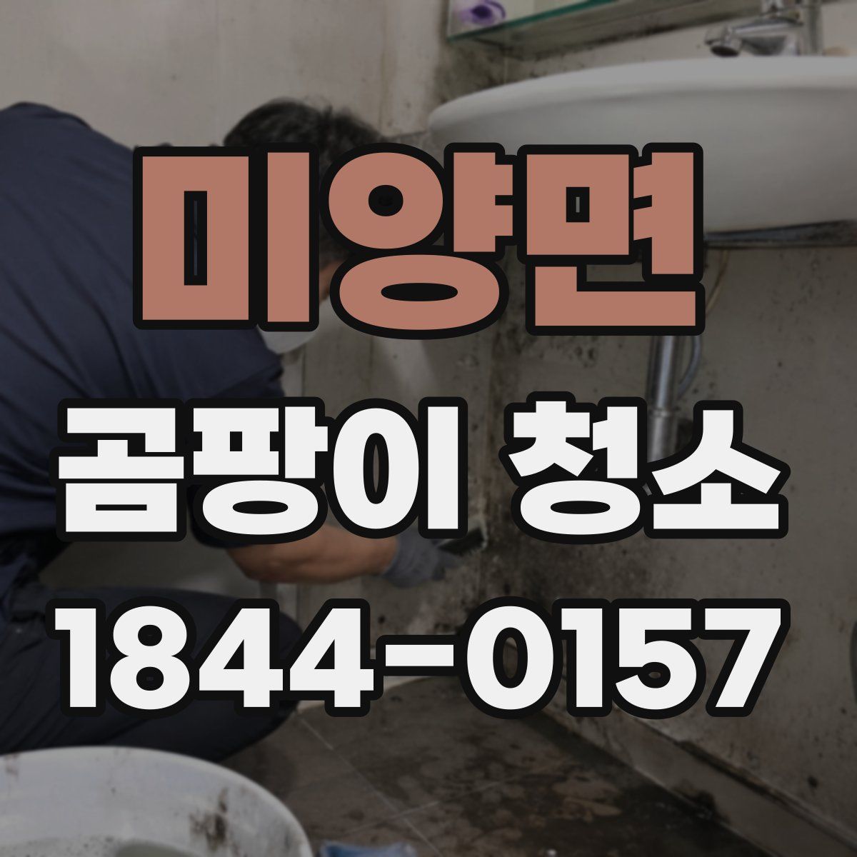 미양면 곰팡이 청소