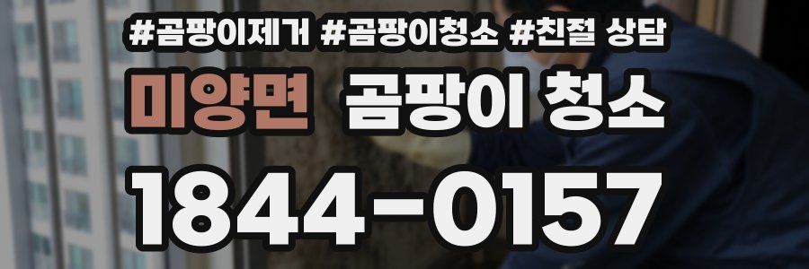 미양면 곰팡이 청소