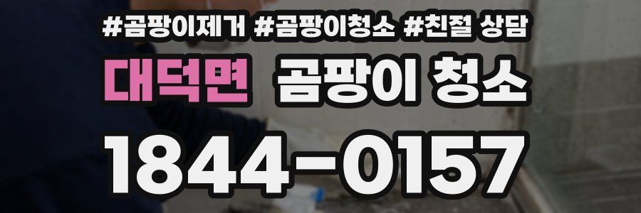 대덕면 곰팡이 청소