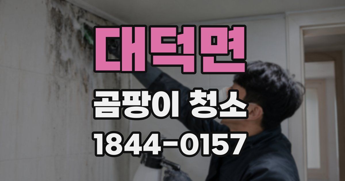 대덕면 곰팡이 청소