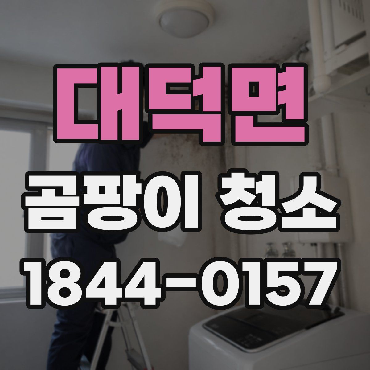 대덕면 곰팡이 청소