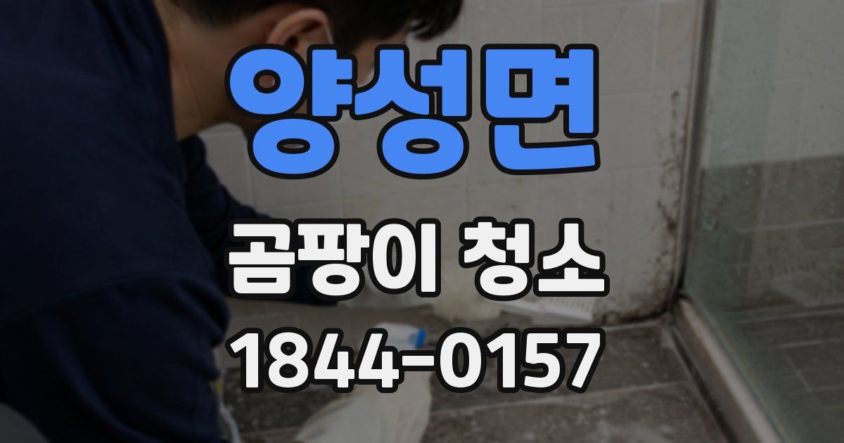 양성면 곰팡이 청소