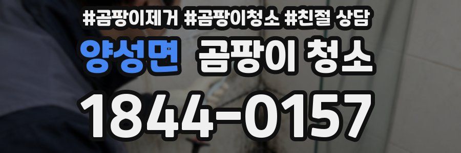 양성면 곰팡이 청소