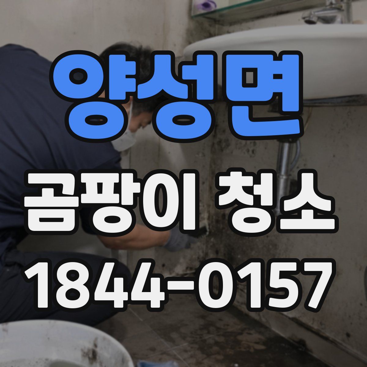 양성면 곰팡이 청소