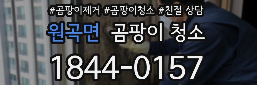 원곡면 곰팡이 청소