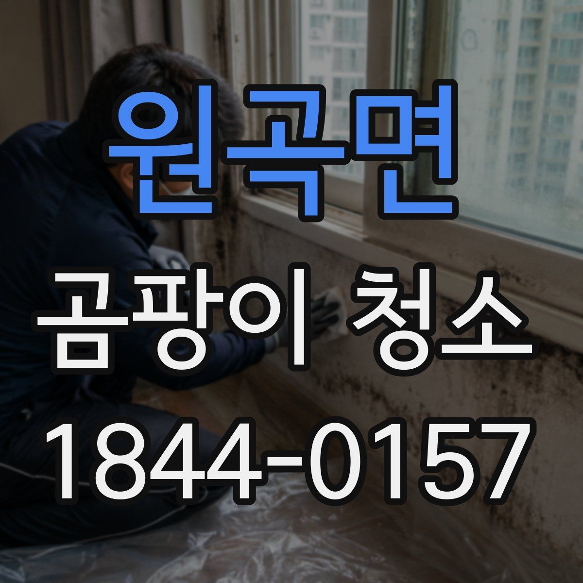 원곡면 곰팡이 청소