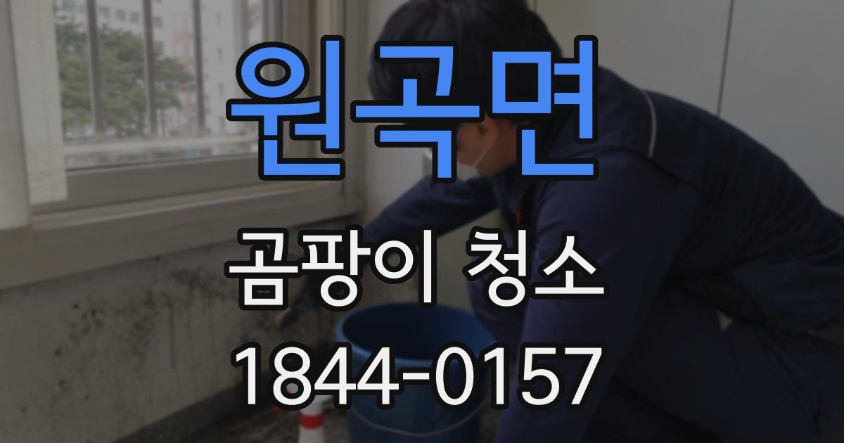 원곡면 곰팡이 청소