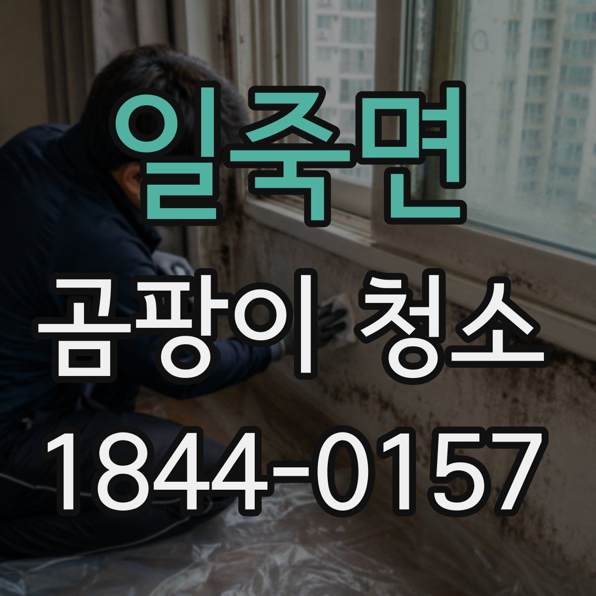 일죽면 곰팡이 청소