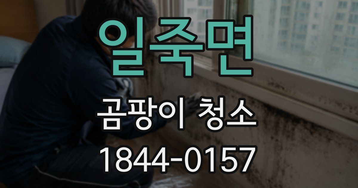 일죽면 곰팡이 청소