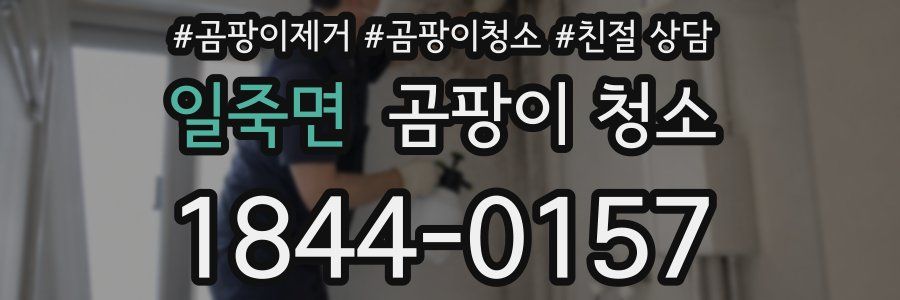일죽면 곰팡이 청소