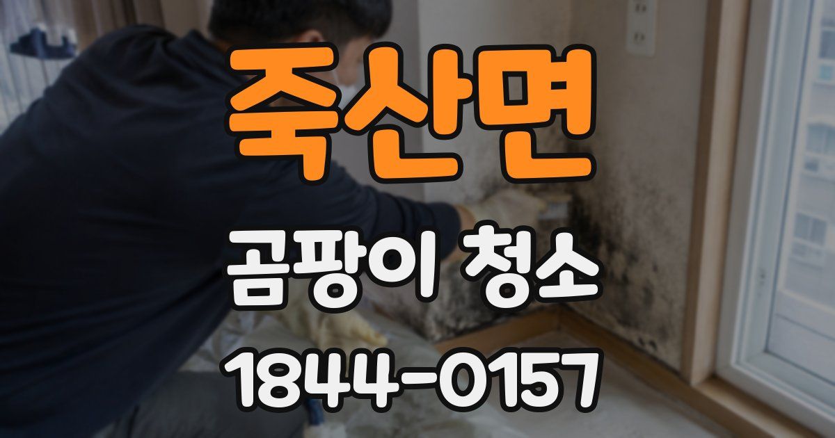 죽산면 곰팡이 청소