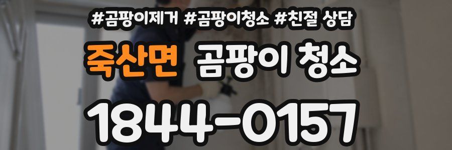 죽산면 곰팡이 청소