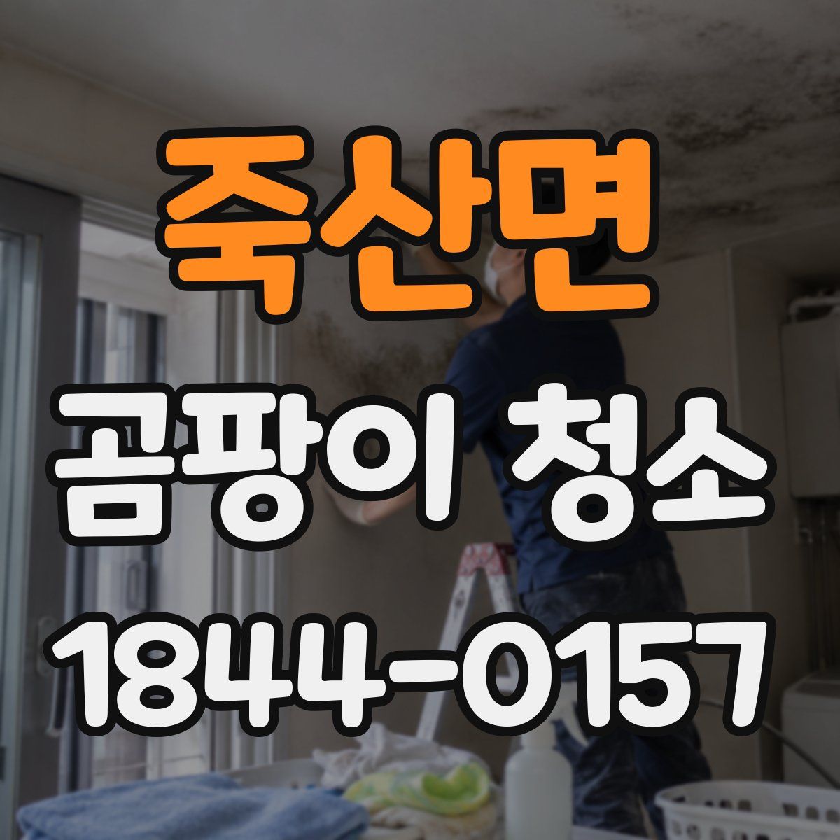 죽산면 곰팡이 청소