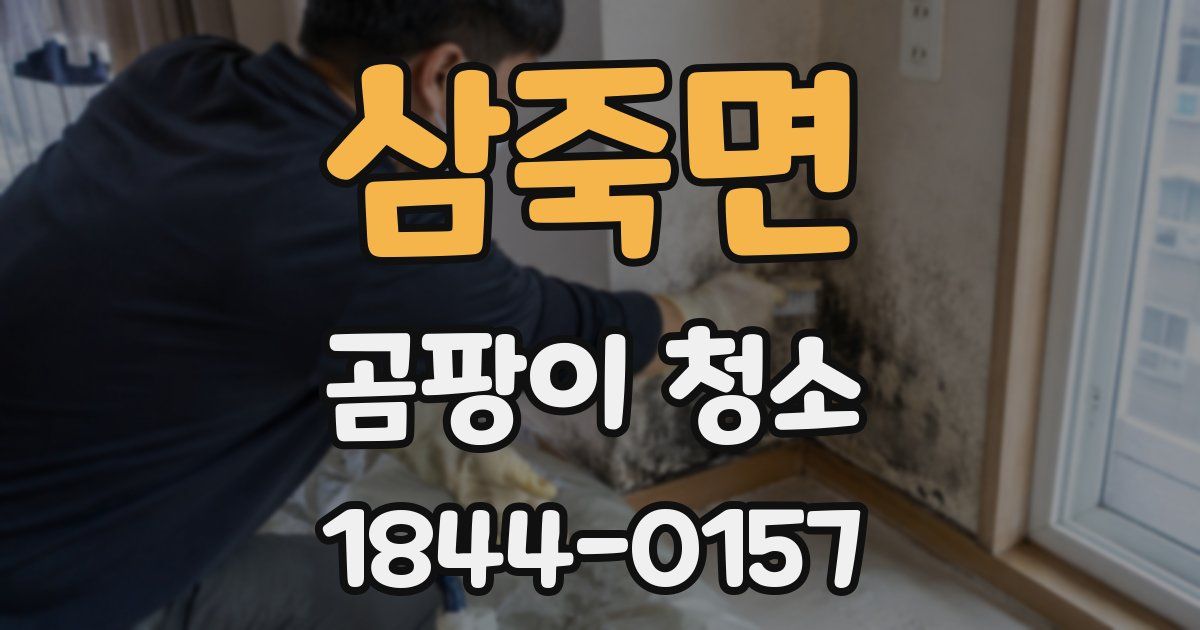 삼죽면 곰팡이 청소
