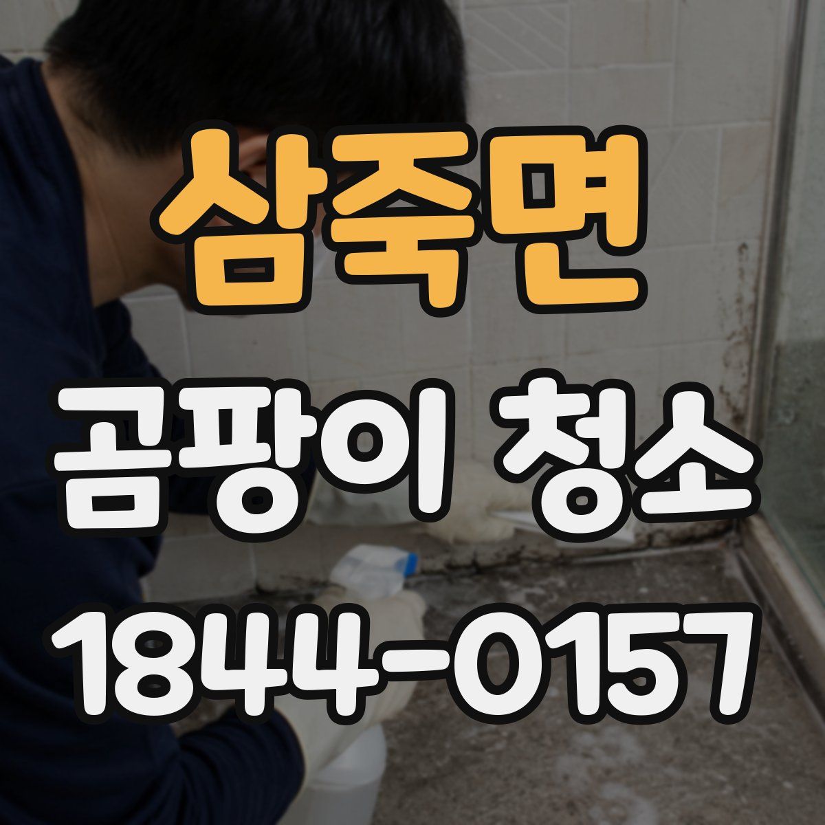 삼죽면 곰팡이 청소