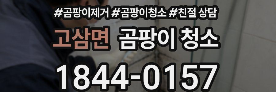 고삼면 곰팡이 청소