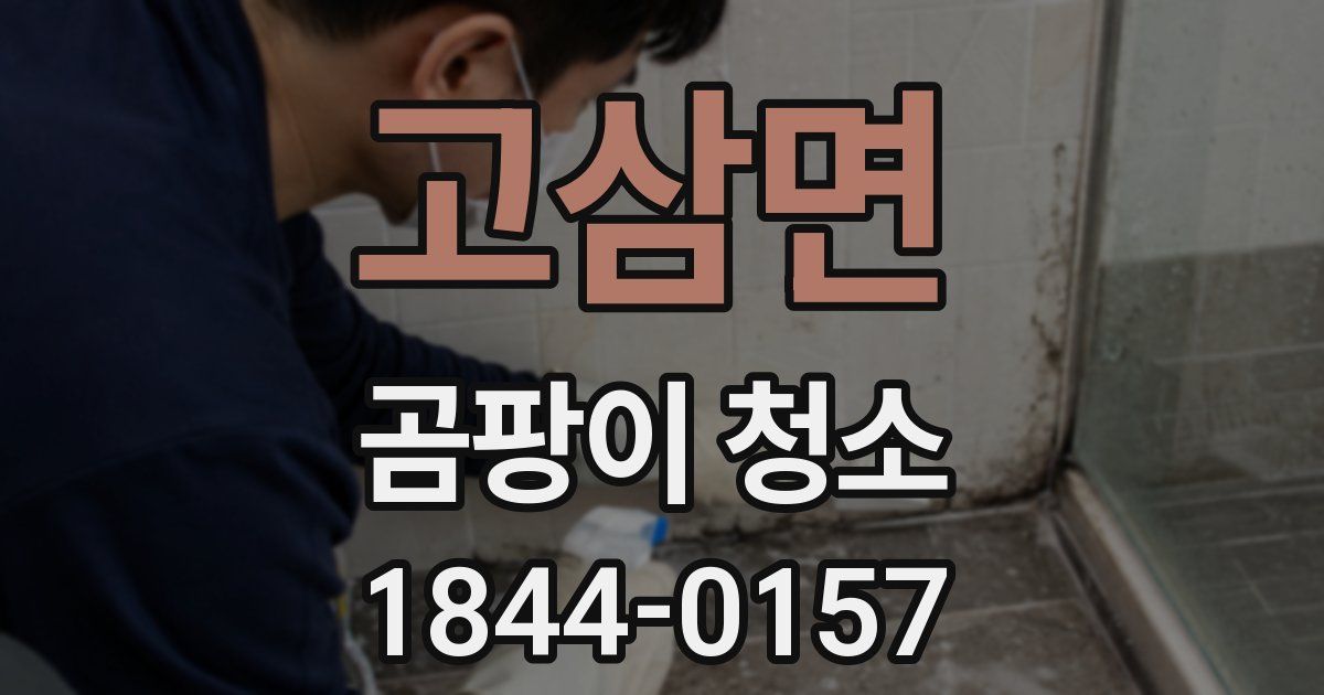 고삼면 곰팡이 청소