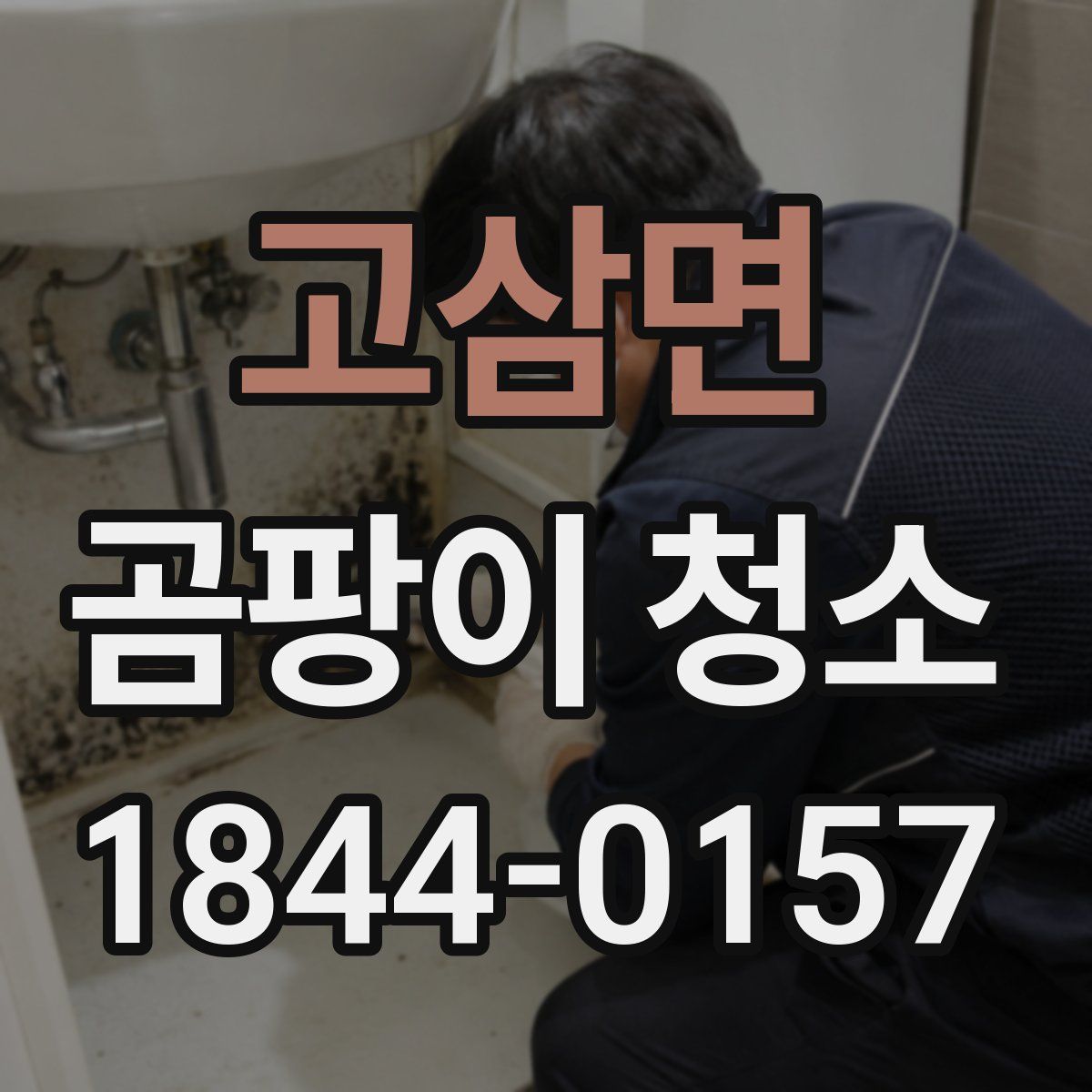 고삼면 곰팡이 청소